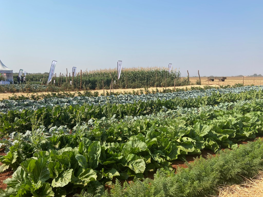 Landwirtschaftsausstellung GART Seed Fair (GART = Golden Valley Agricultural Research&nbsp;Trust)