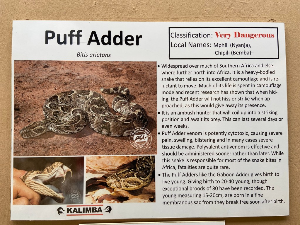 Insekten – Teil 2 – und andere&nbsp;Tiere