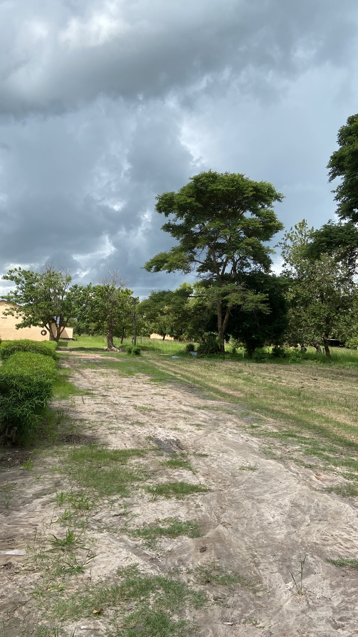 Soooo viele Projekte laufen&nbsp;gleichzeitig