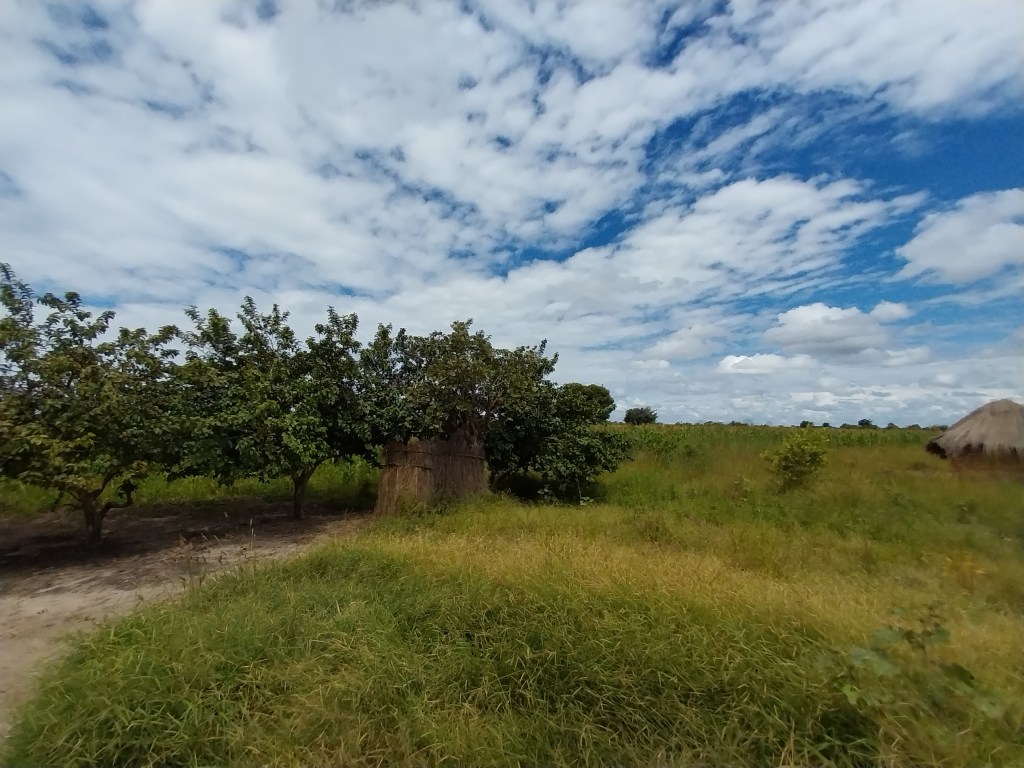 Firma gegründet – Bankkonto eröffnet – Farm&nbsp;gekauft