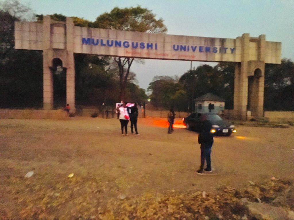 Ein Bett muss&nbsp;her