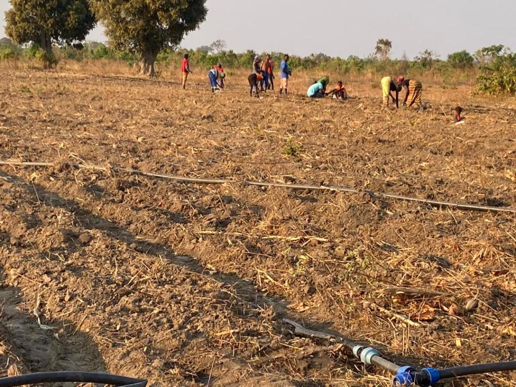 Farming as a&nbsp;business