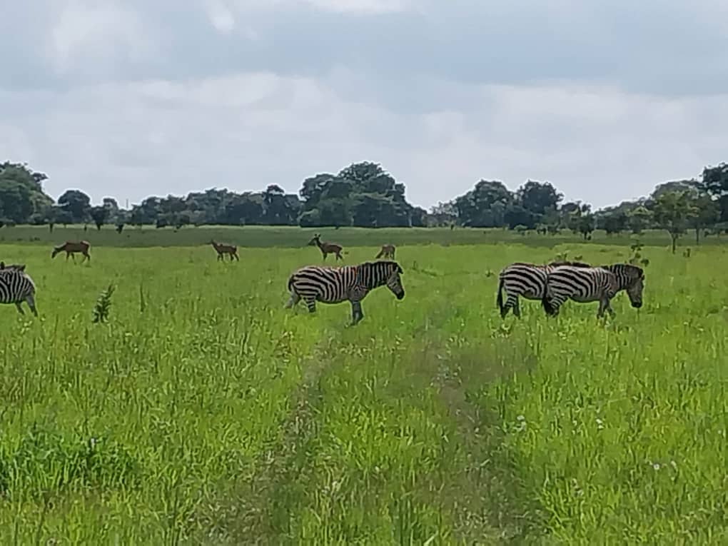 Ein geballtes Update